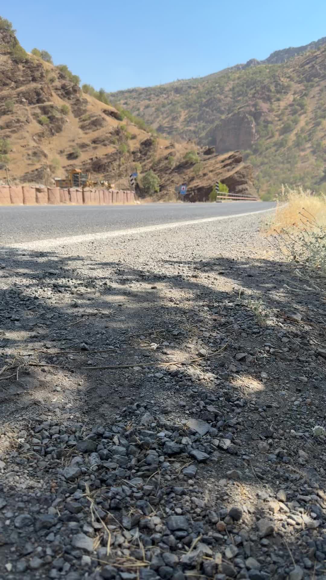 @𝙳𝚒𝙻𝚘𝚅𝚊𝙽 𝚂𝚎𝚅𝚎𝙽✔︎