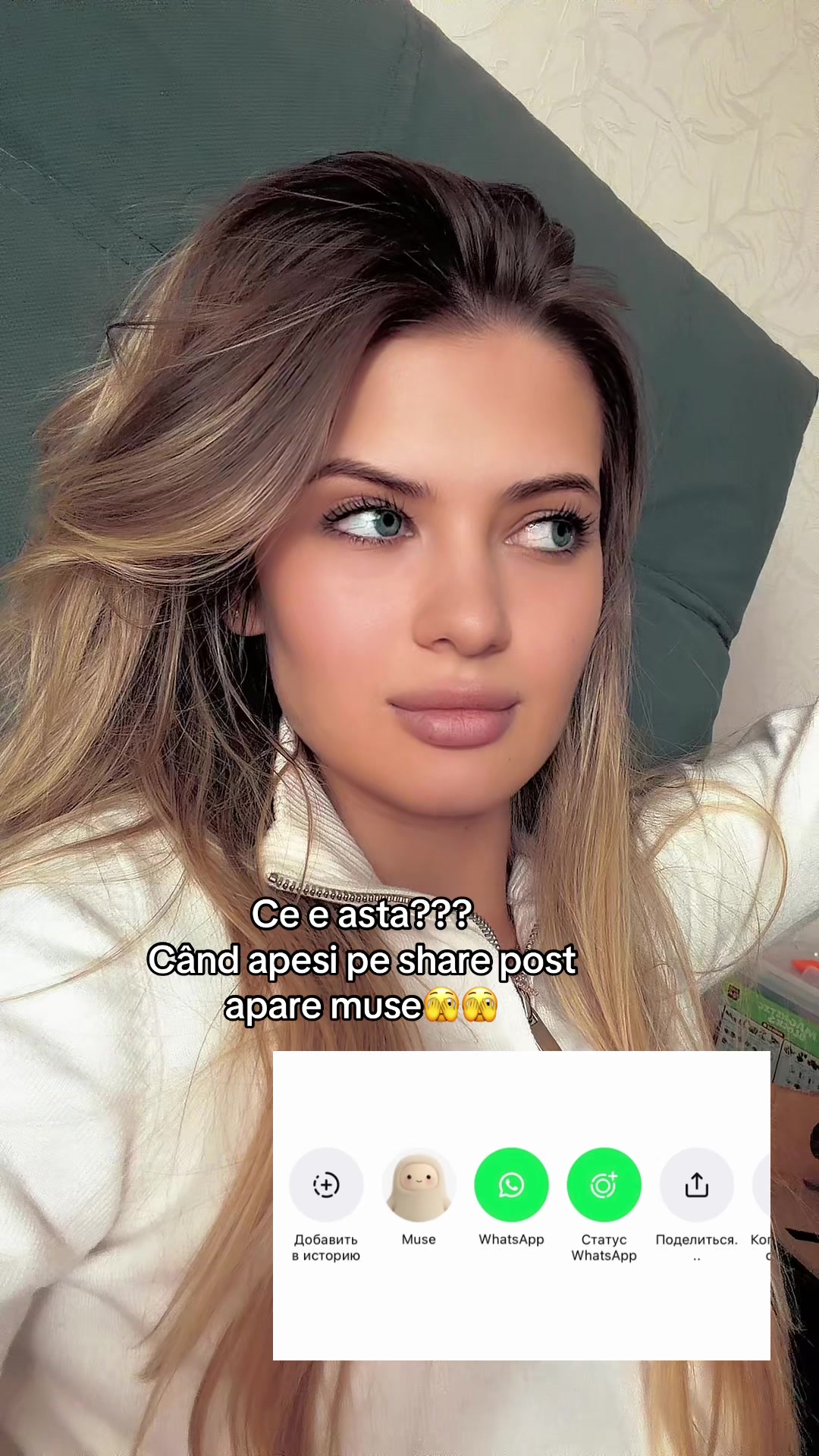 @Elena Dumitras