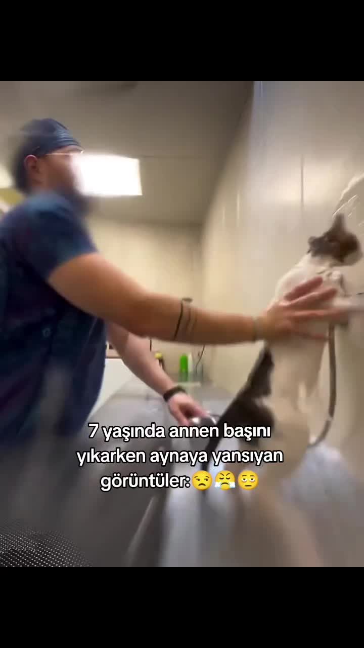 @Zeynepeyl&uuml;l.e