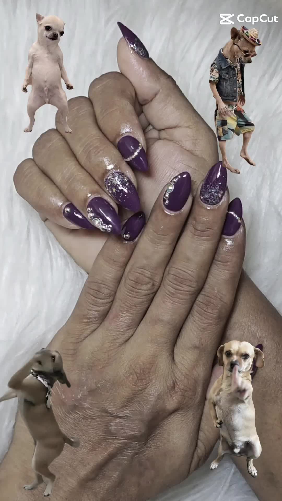 @đđ±đȘđ·đŹđ đąđœđŸđđČđž đïž
