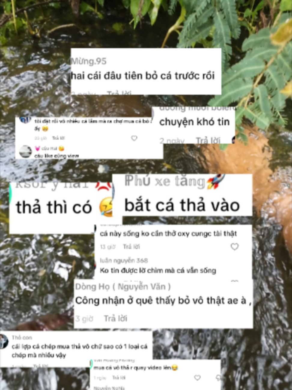@Long Tập Câu Cá