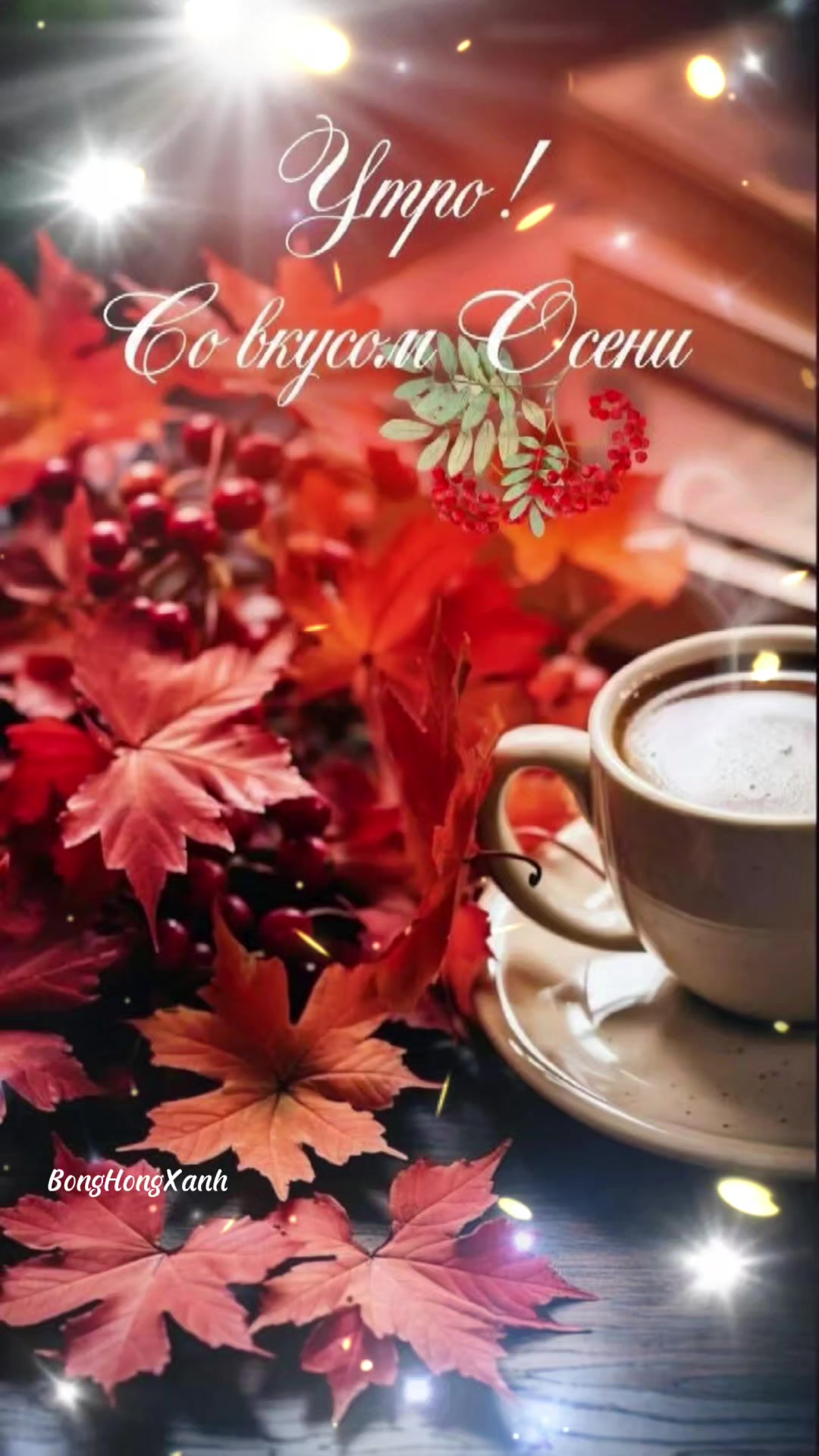 @Лара