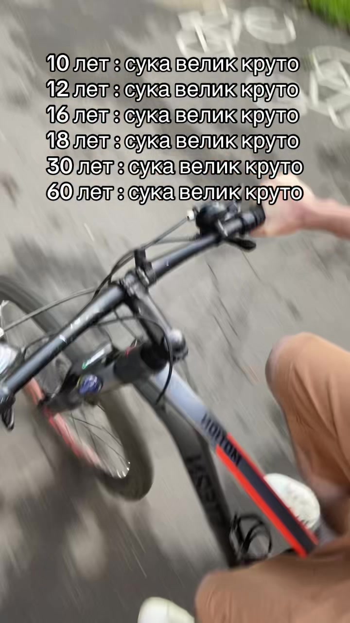 @SHEEEFFFFFFFF