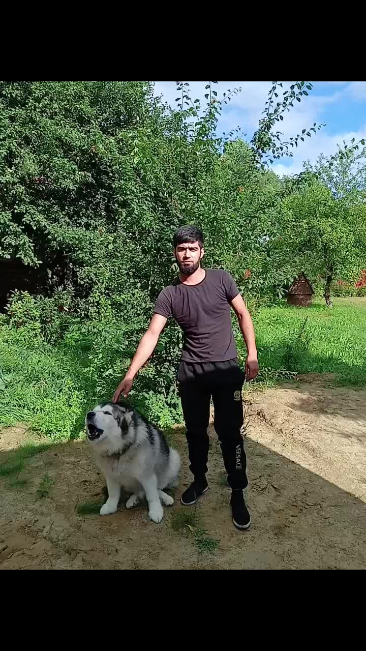 @mehroj_004