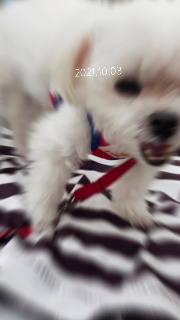 @초롱맘