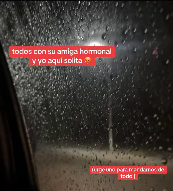 @amiga.hormo1