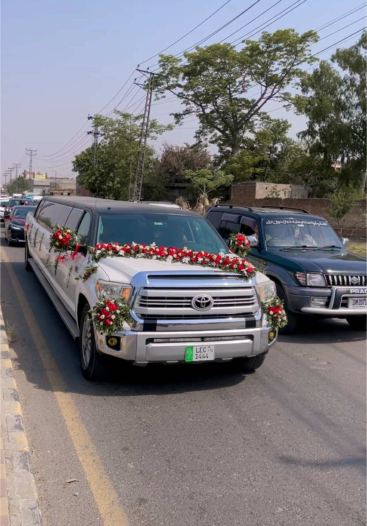 @786 DOGAR