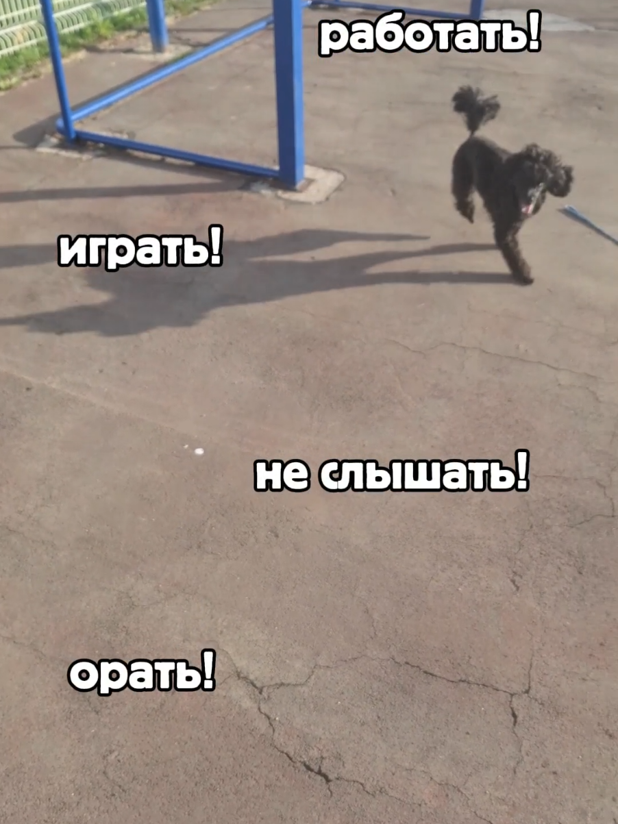 @ⲁⲅⲣⲉⲥⲥ&upsilon;ⲃⲏⲟⲉ ⲱⲁⲃⲗⲟ