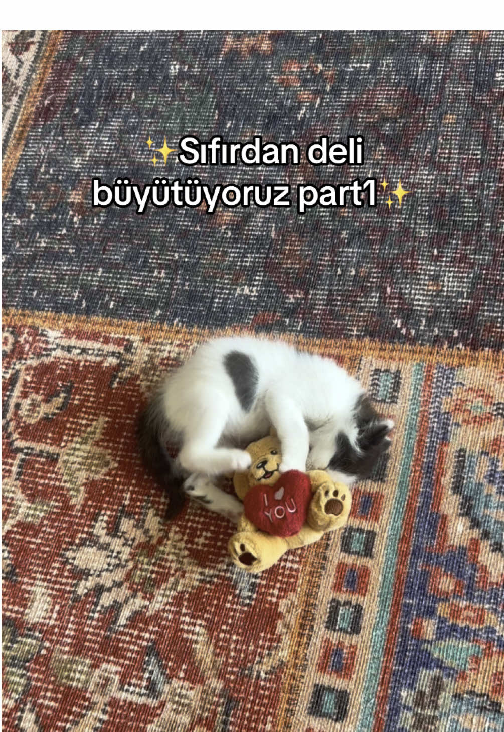 @Almira &Ouml;z&ccedil;elik