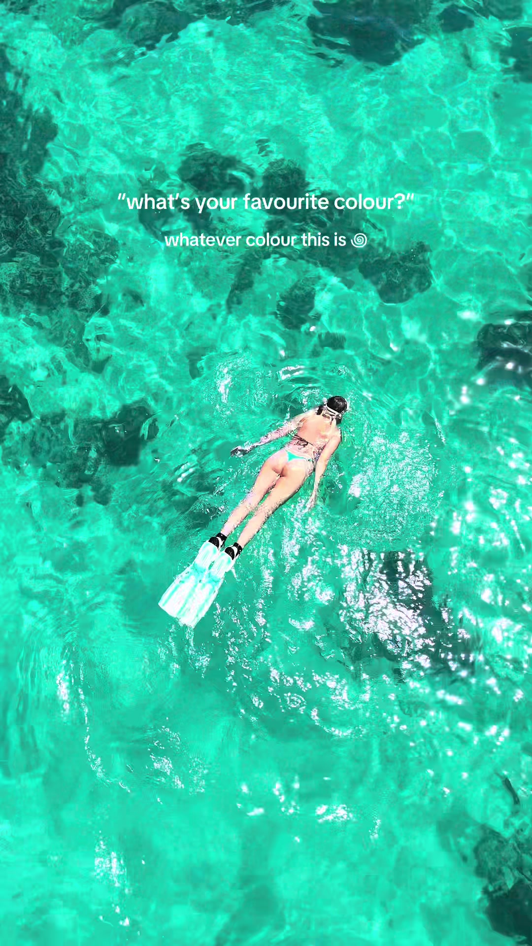 @aarie 𓇼
