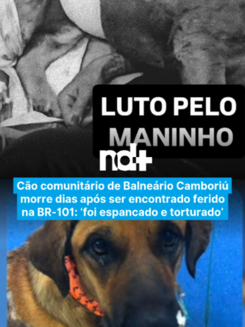 @portalndmais