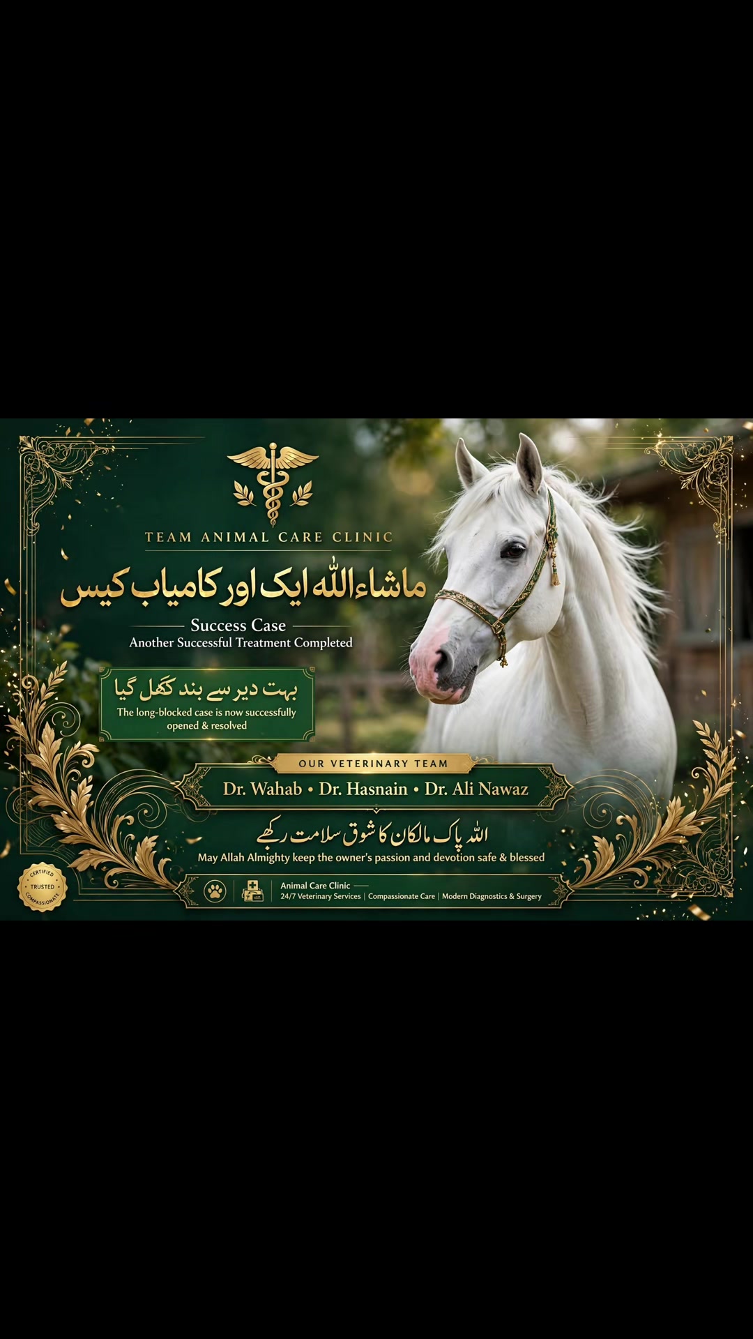 @Dr Wahab vet
