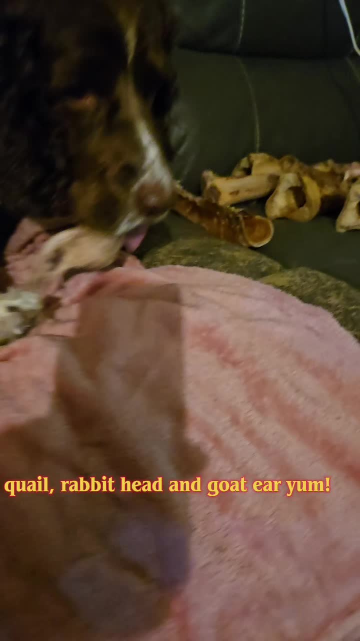 @Bugsy Oliver and his mama Lee