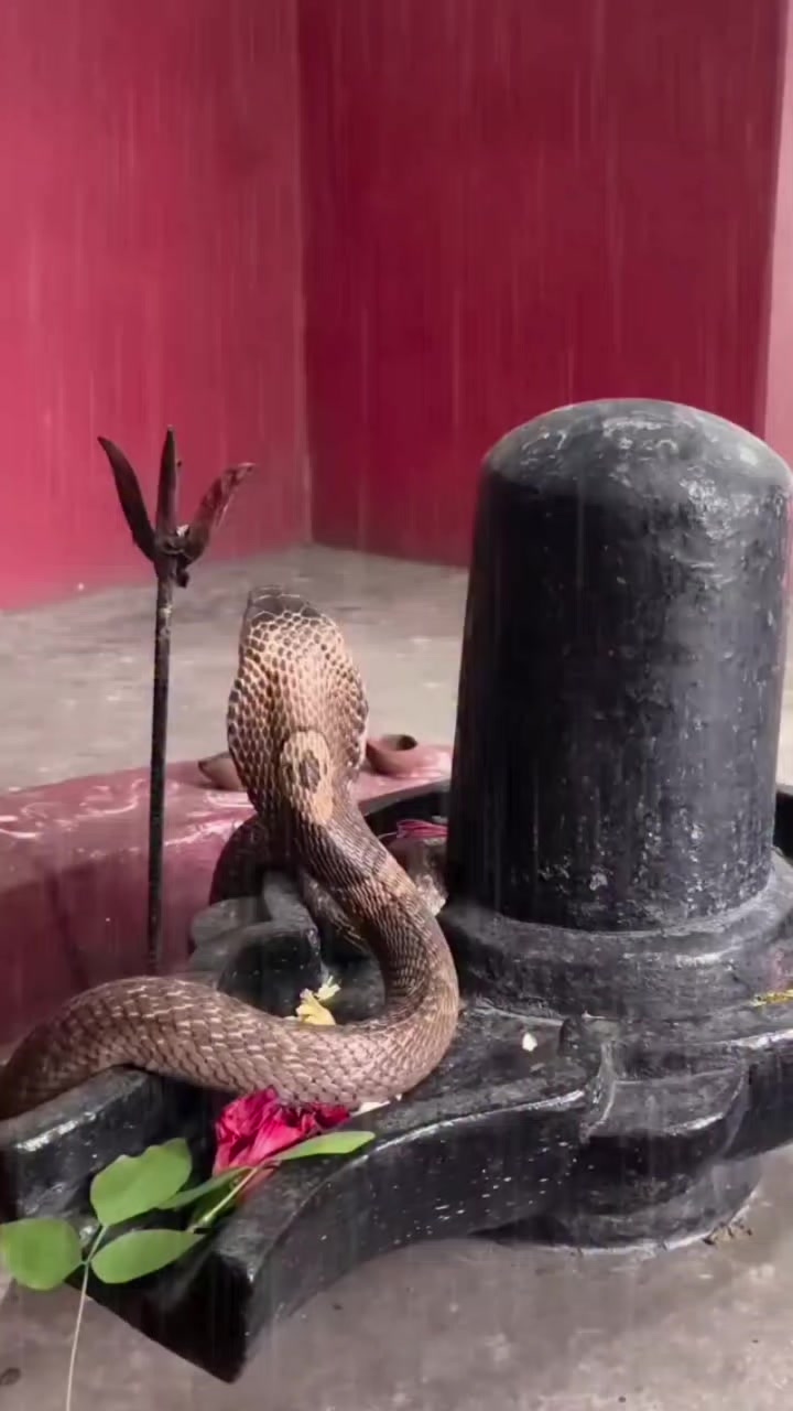 @๐ฉ Jay Mata di ๐ฉ๐๐ฑ