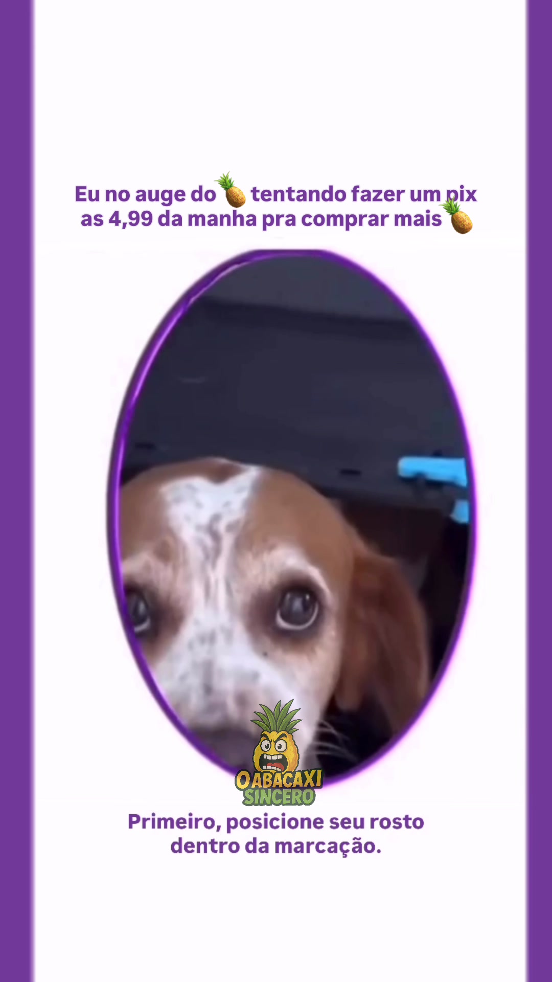 @oabacaxisincero