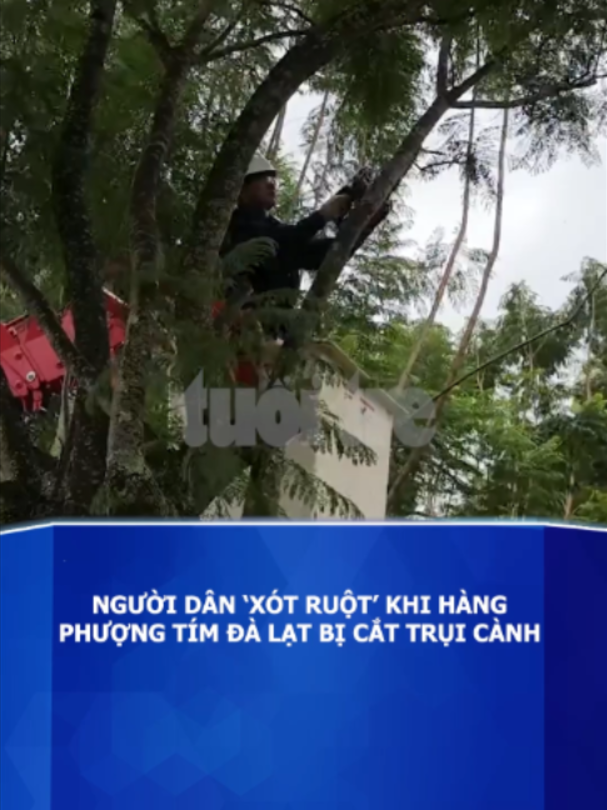 @Báo Tuổi Trẻ