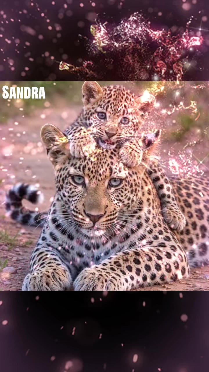 @sandra