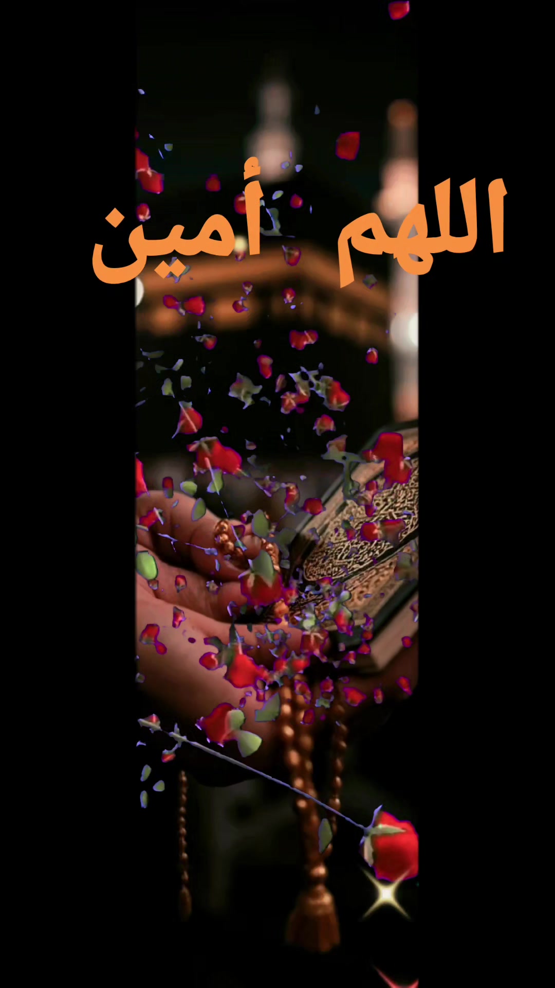 @أم علي