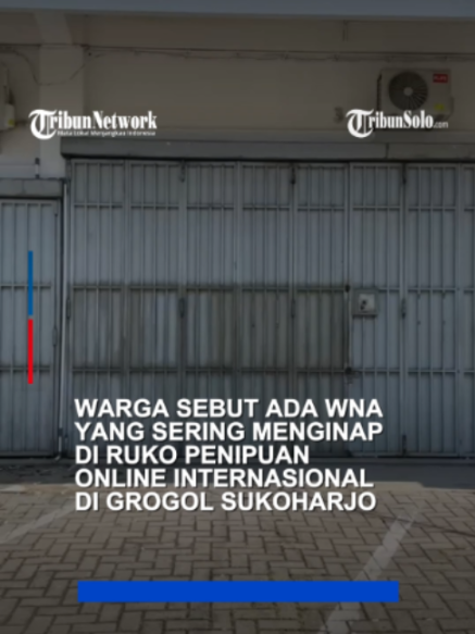 @TribunSolo.com