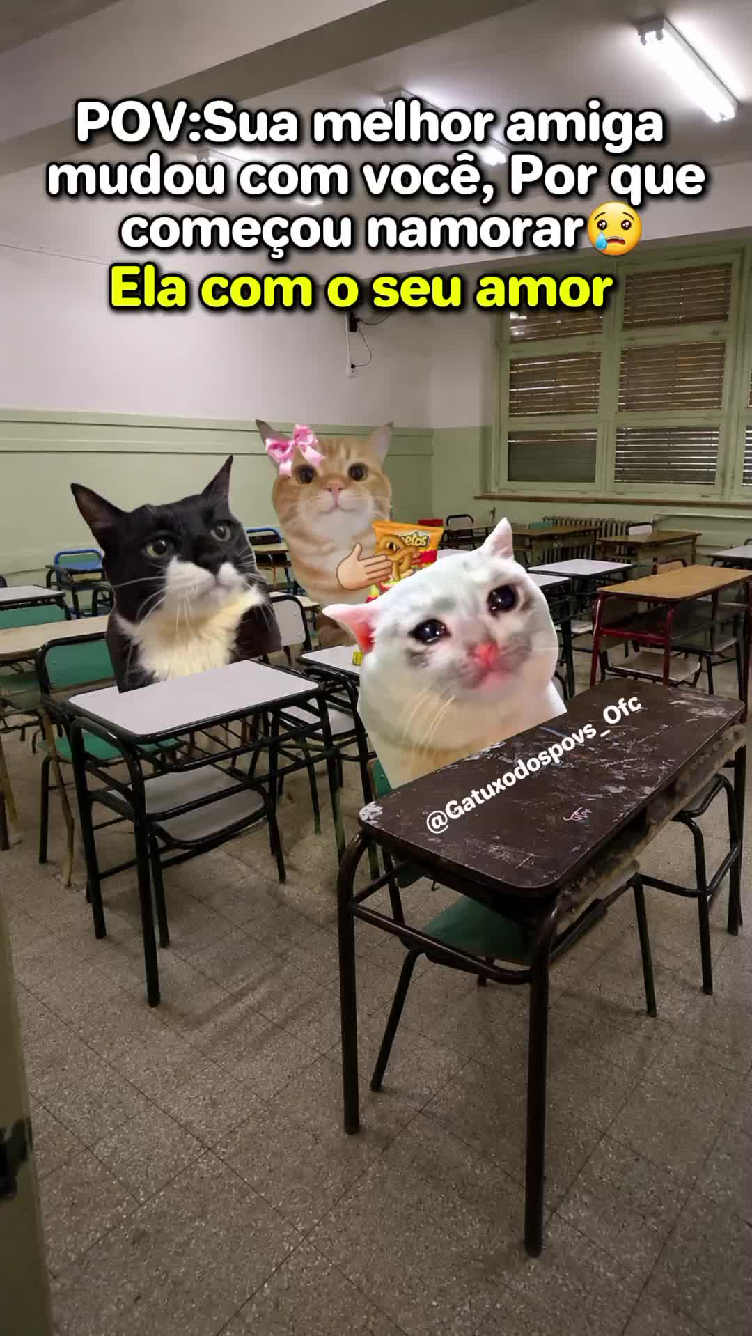 @Gatuxo Dos Povs Ofc