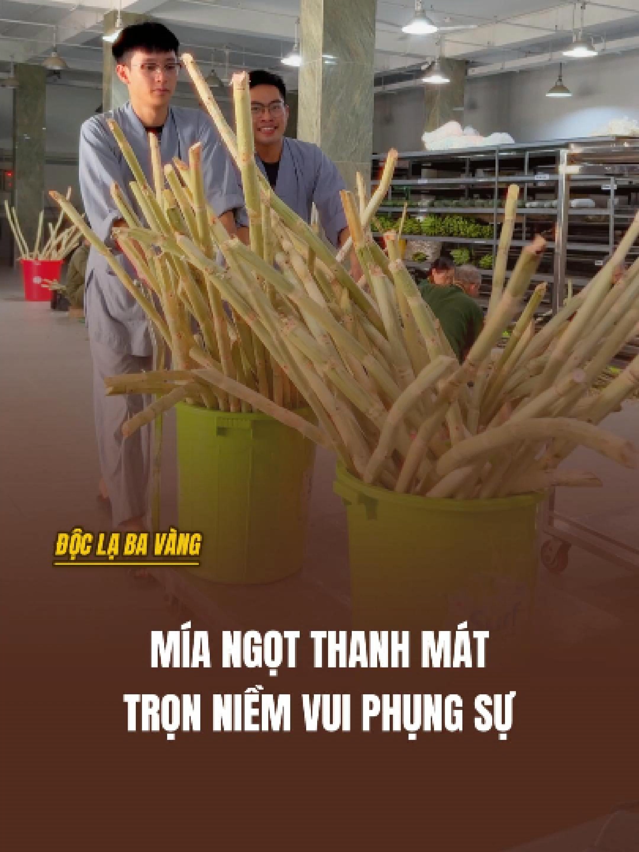 @Ba V&agrave;ng v&agrave; những độc lạ