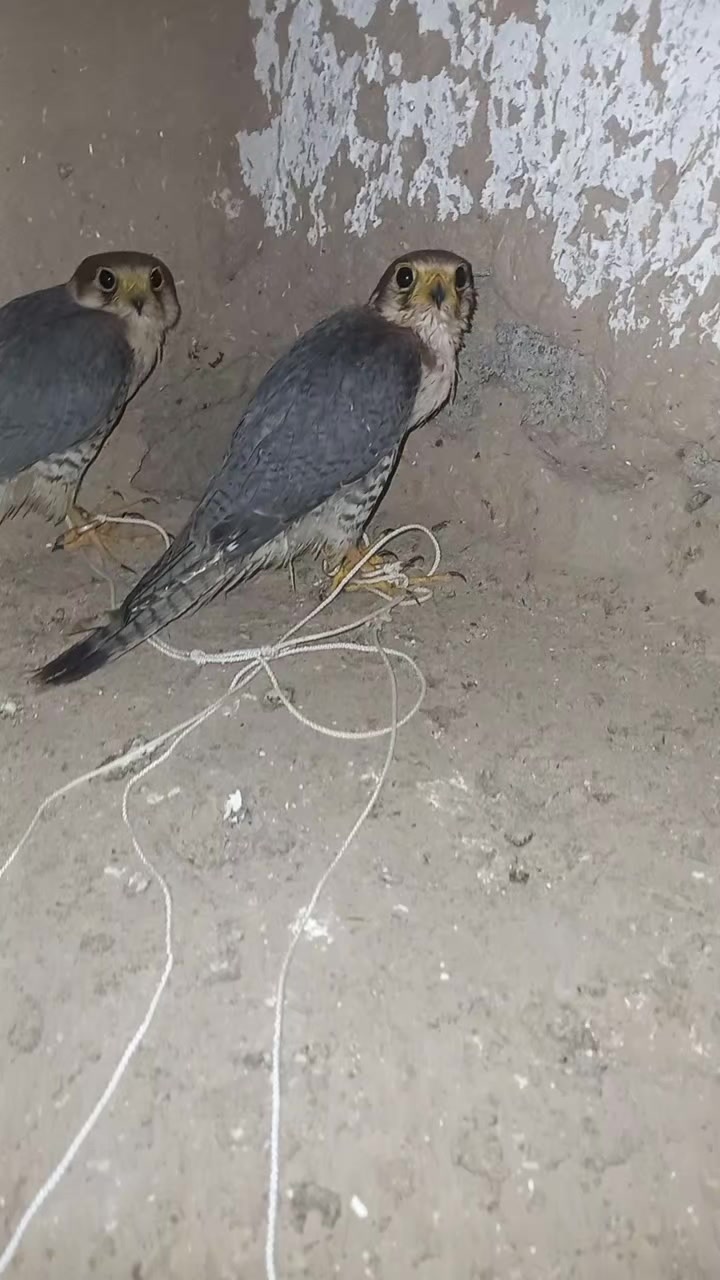 @🦅Hunter Zehri🪶