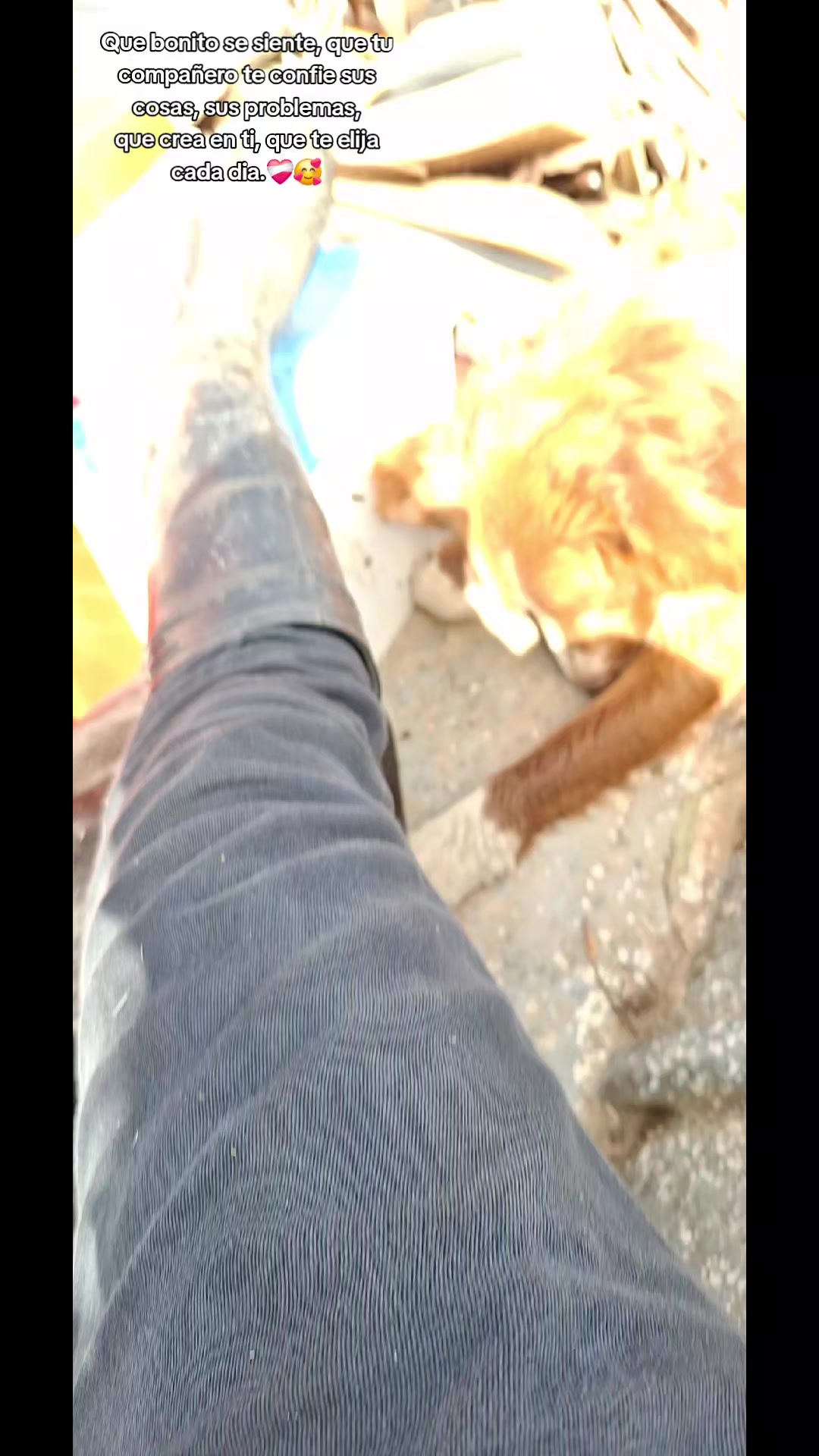 @𝐂𝐋 🤍