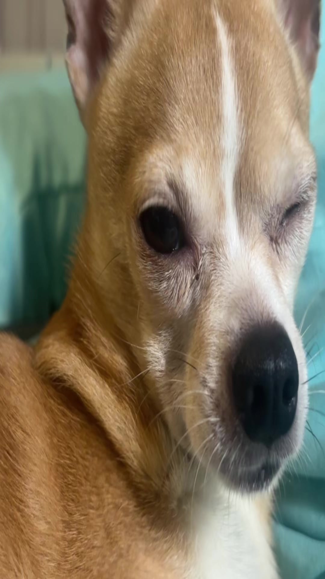 @еваОХАЁ😜✌️丰