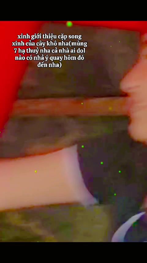 @giatue_aidol2025