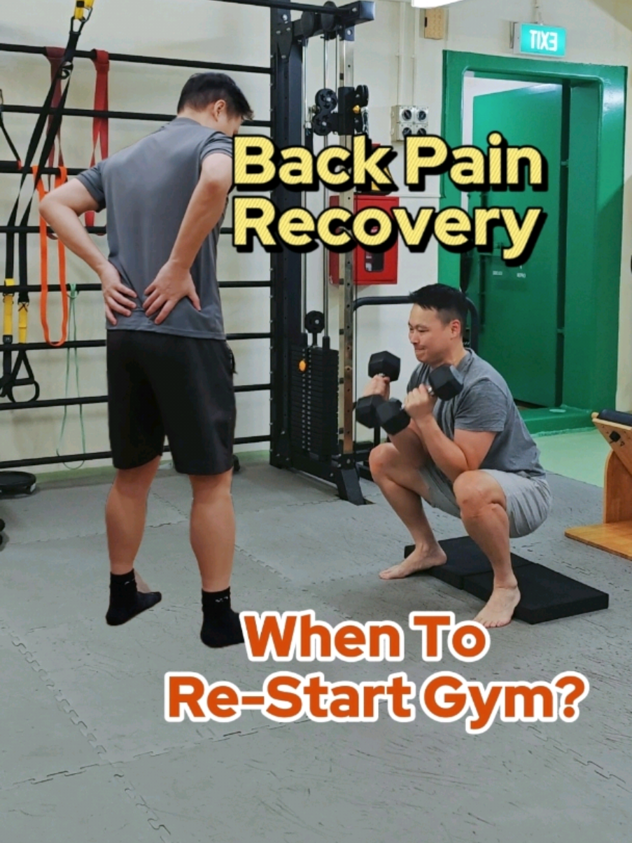 @PhysioBarn