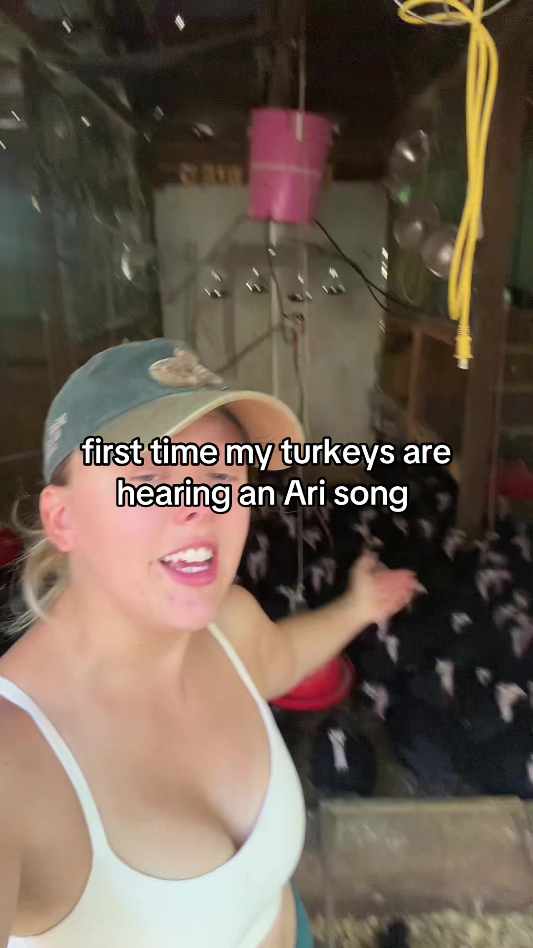 @farmerandtheharpiist