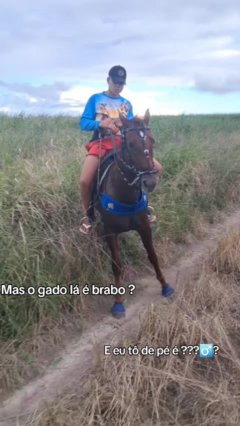 @Eric Lessa