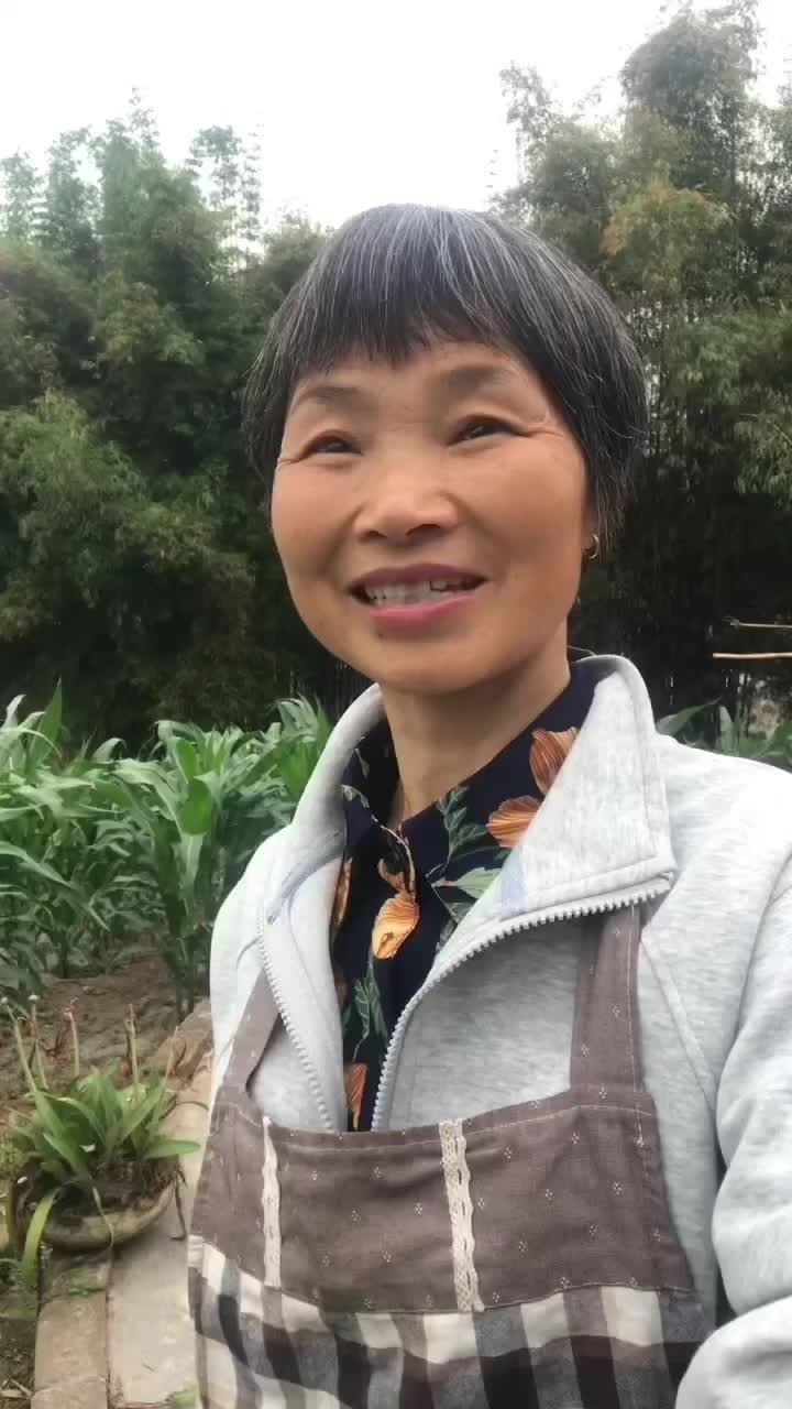 @grandma yan