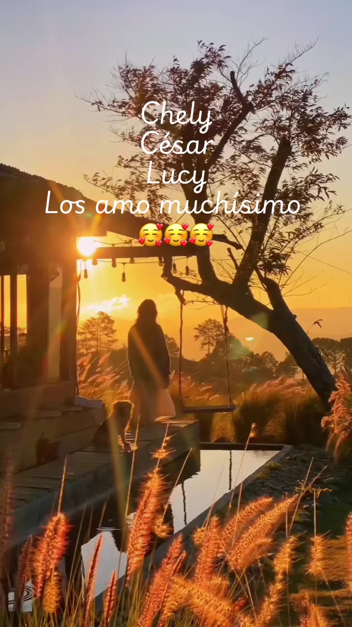 @AraFer79