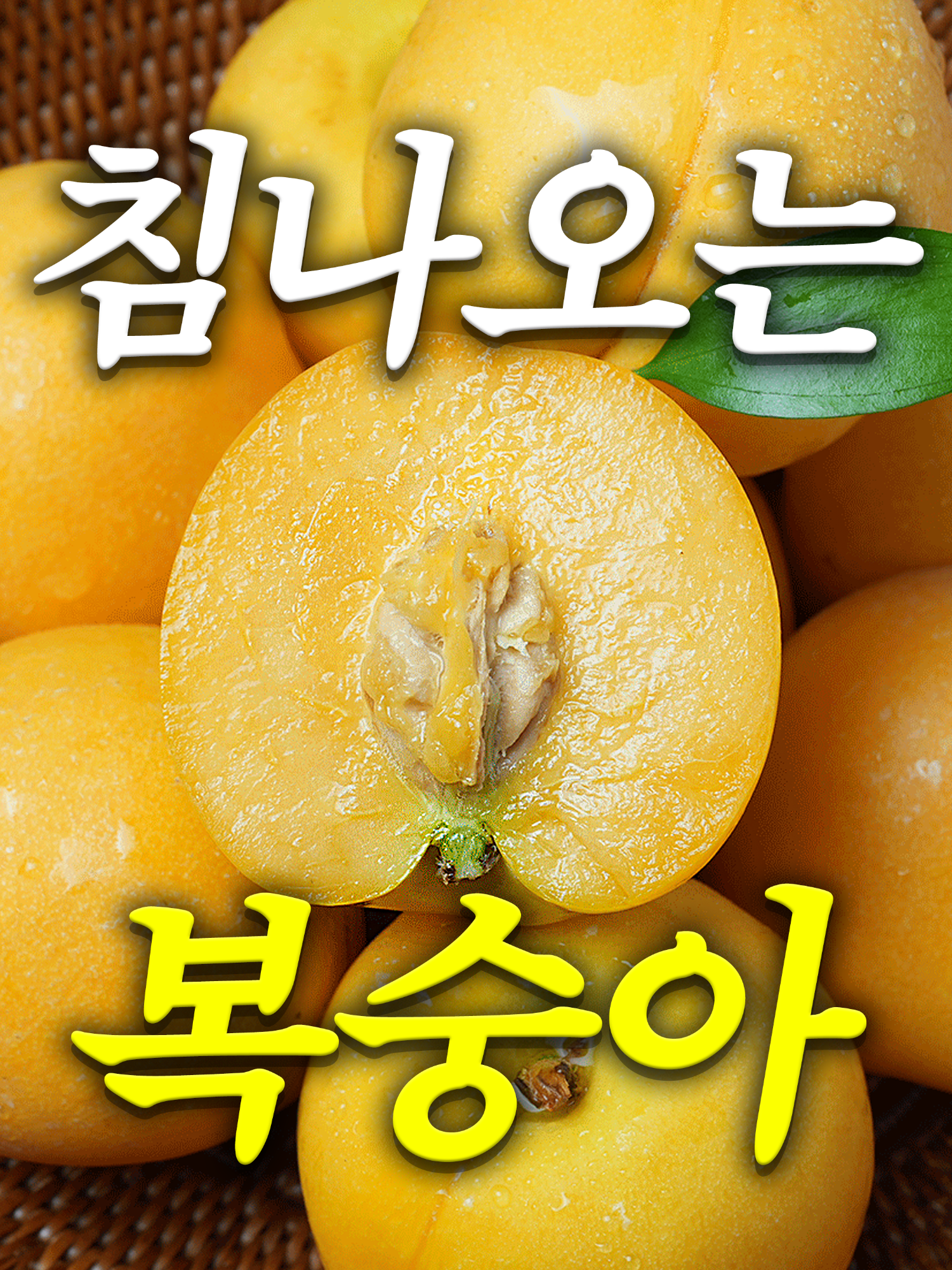 @해운대송사장