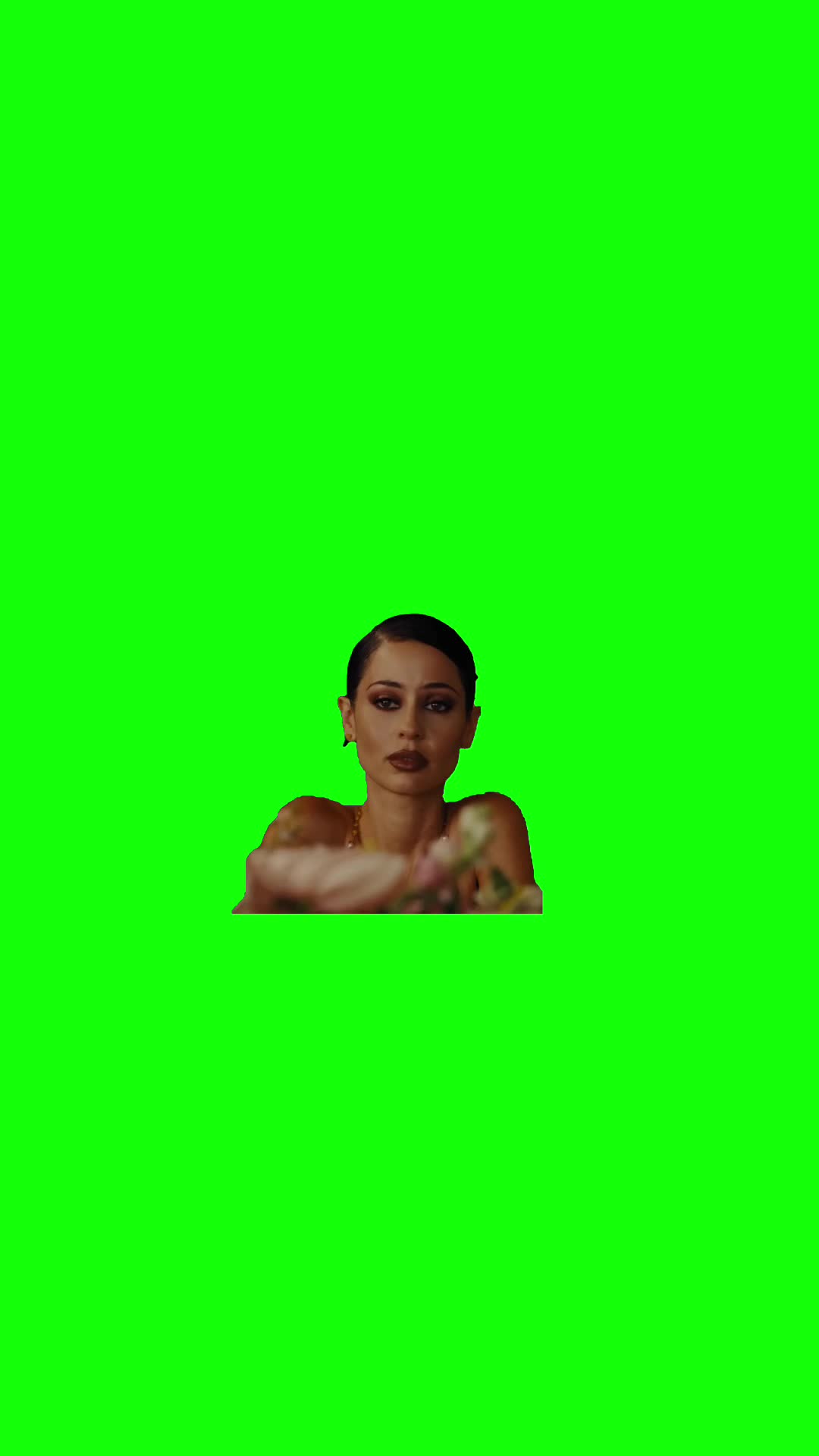 @Chief Green Screens