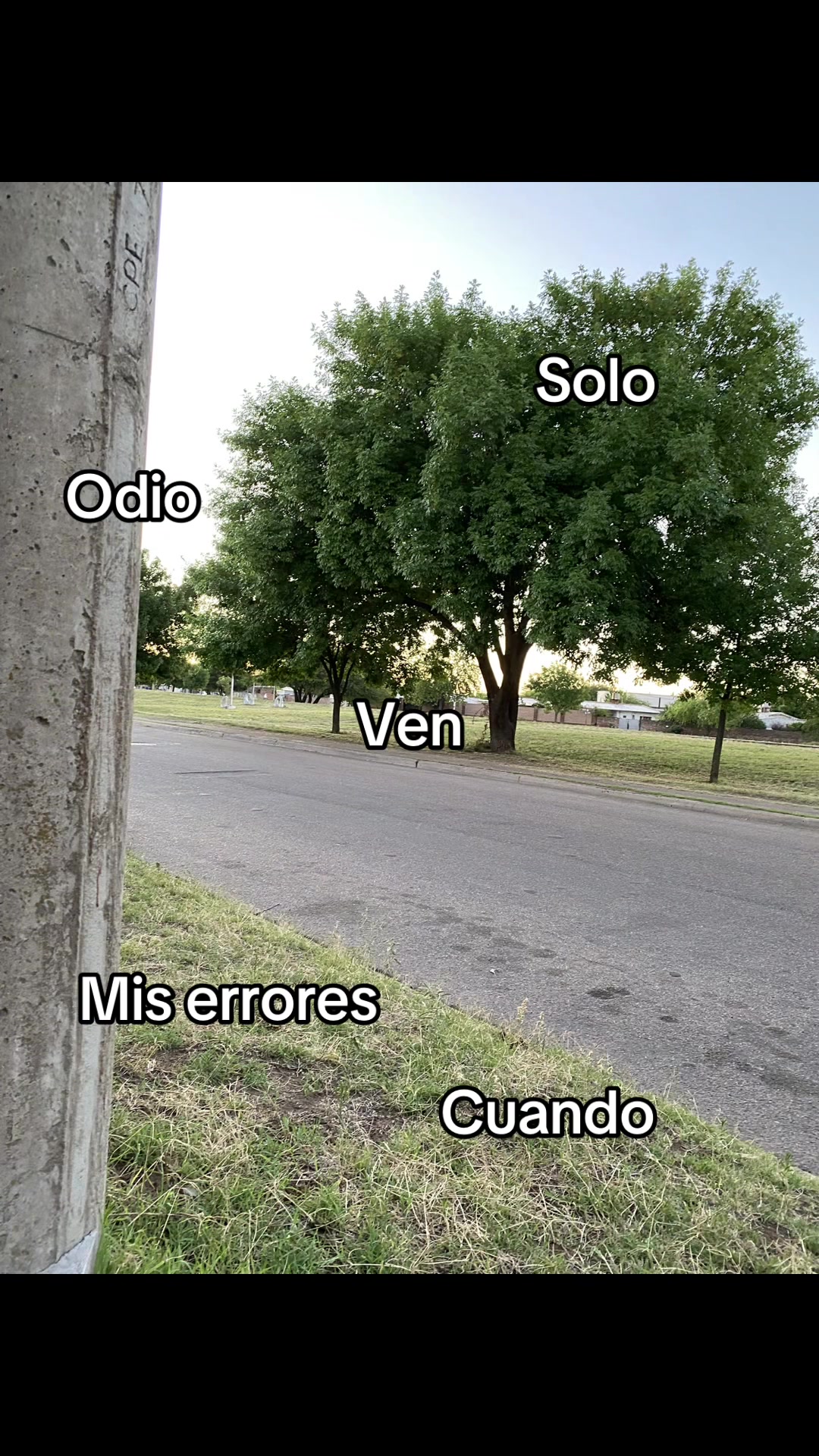 @comparte🫶🏻