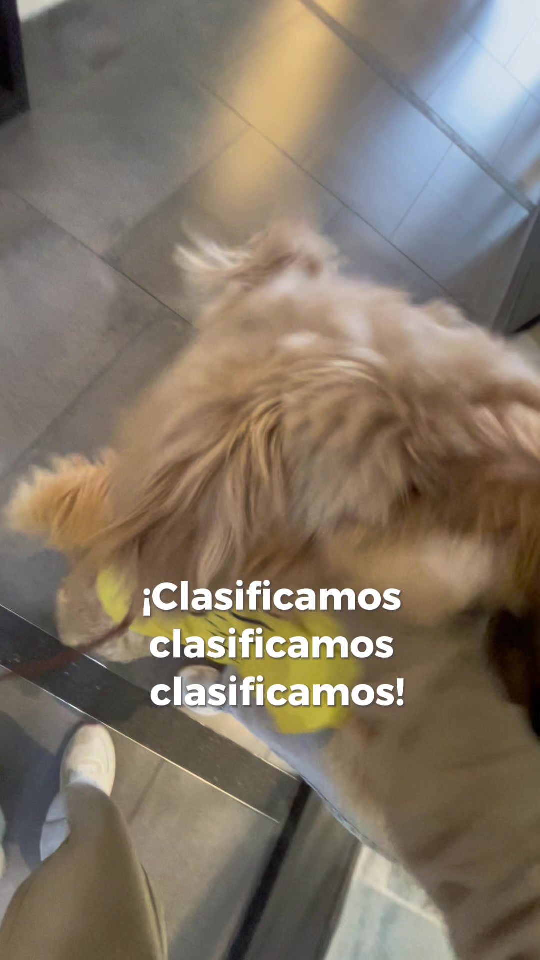 @amigosdelucas