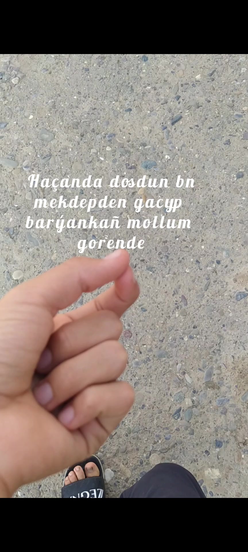 @4xBega_fanady