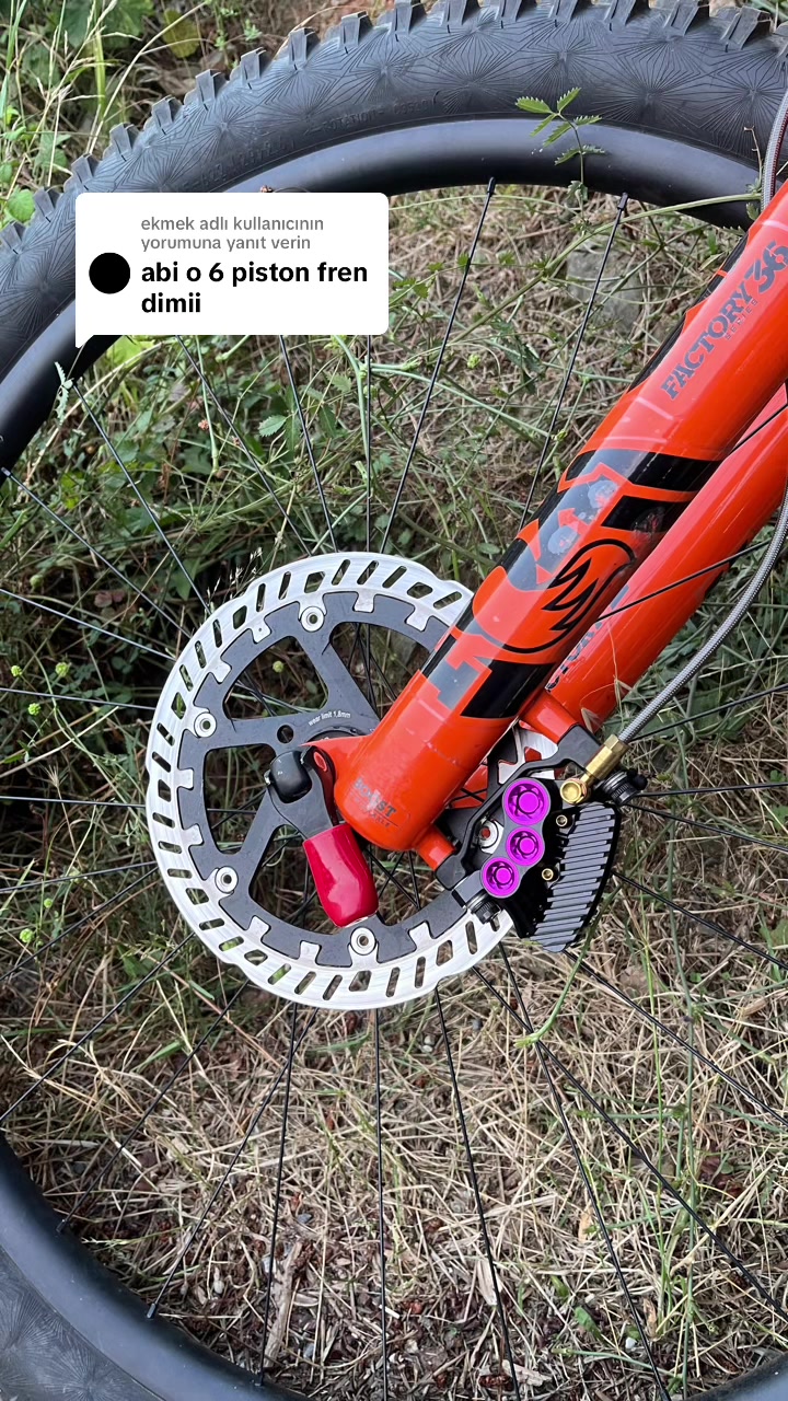 @Yalnız Pedalşör