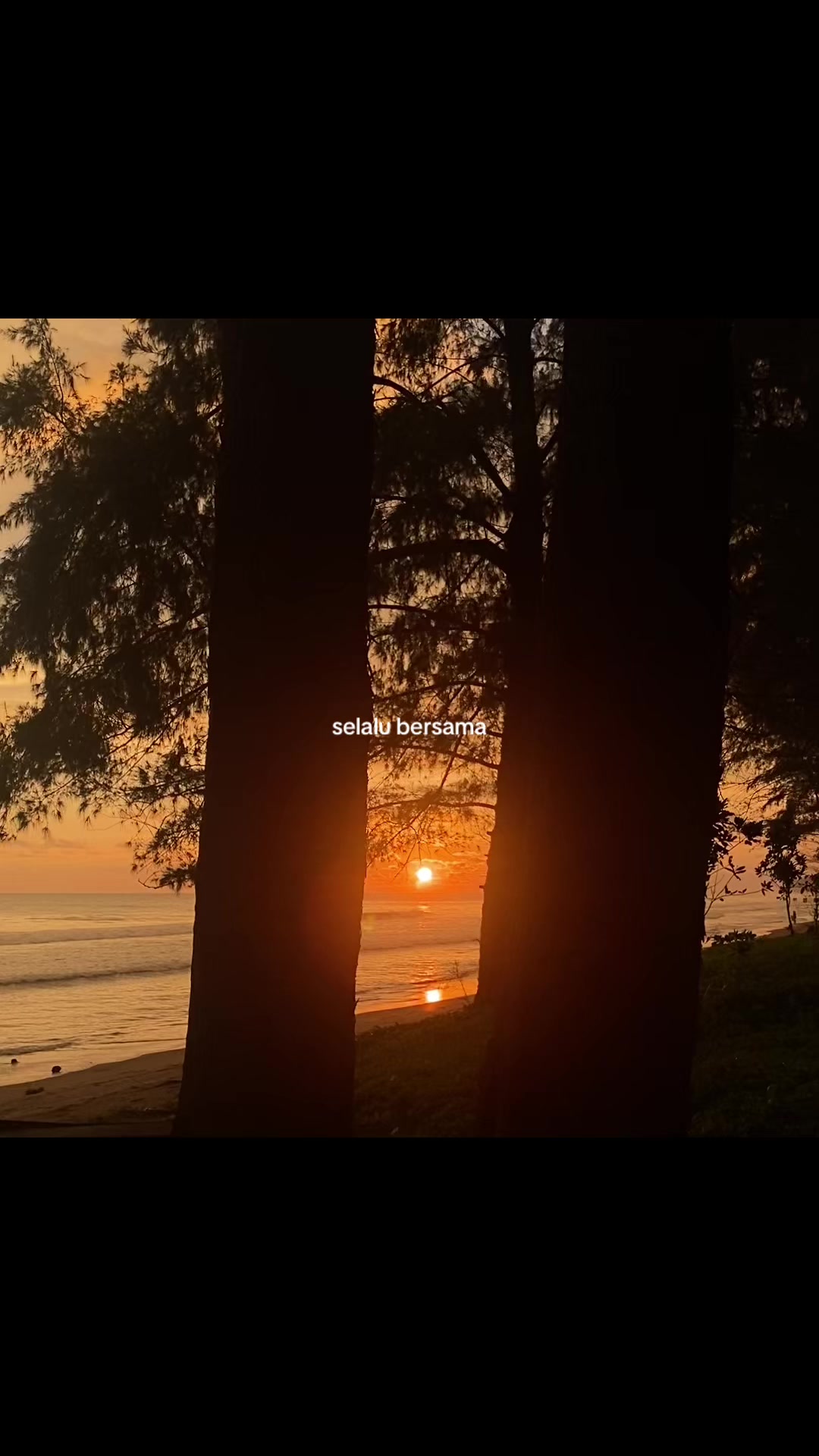 @lonelynes🥀