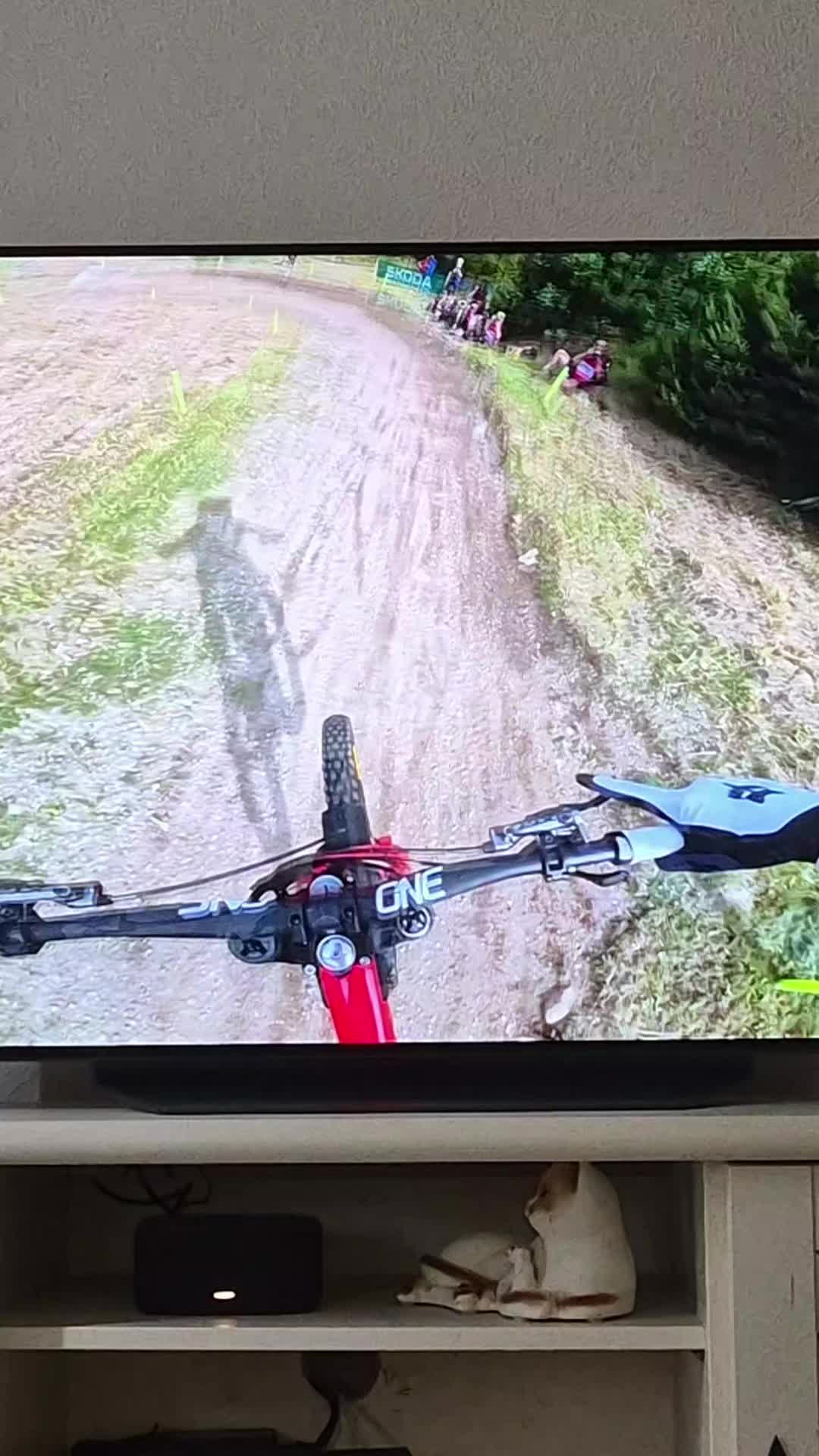 @mtb downhill tiktok