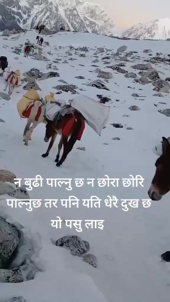 @दिपक