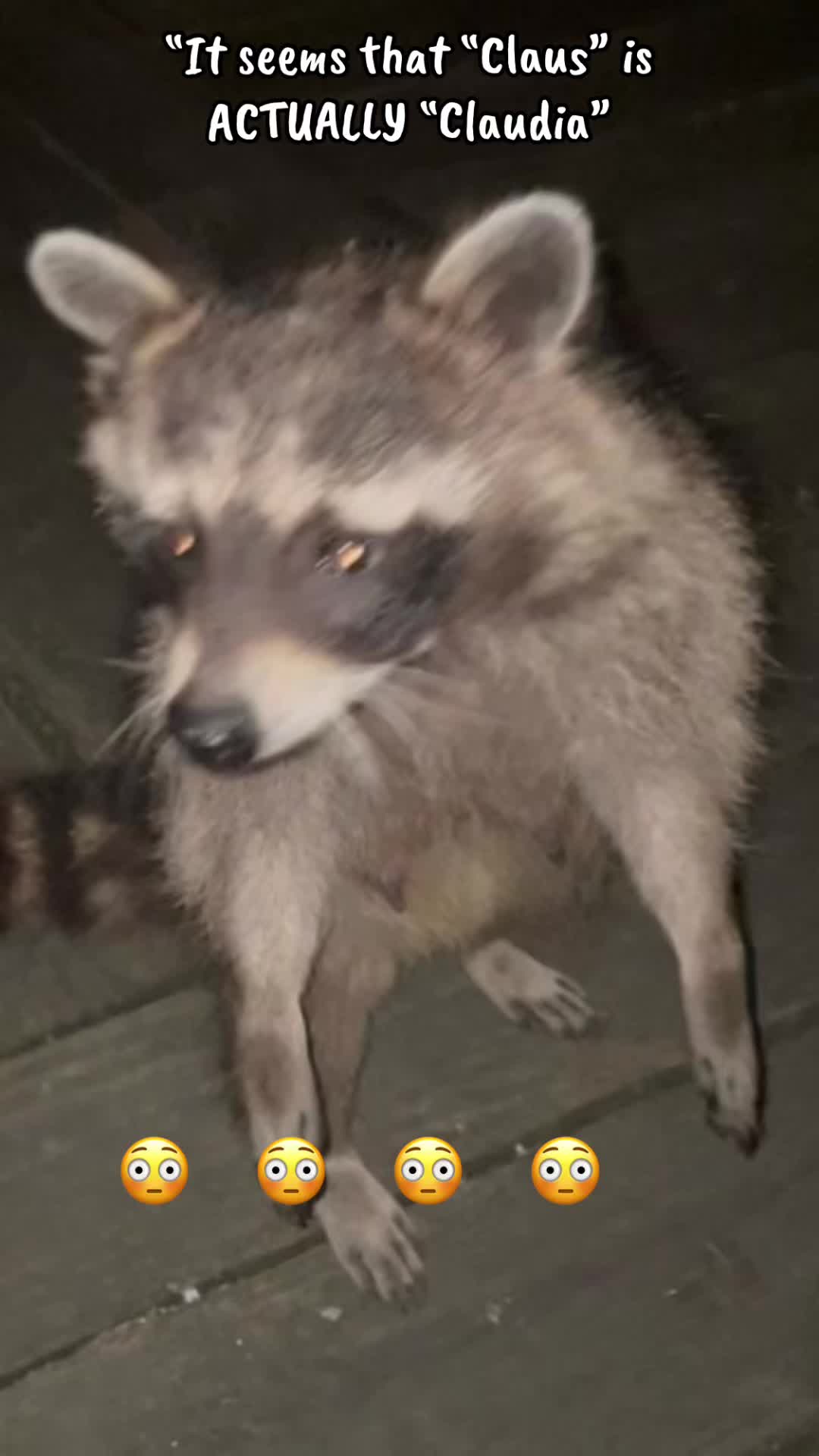 @LoneWolfKritterKam