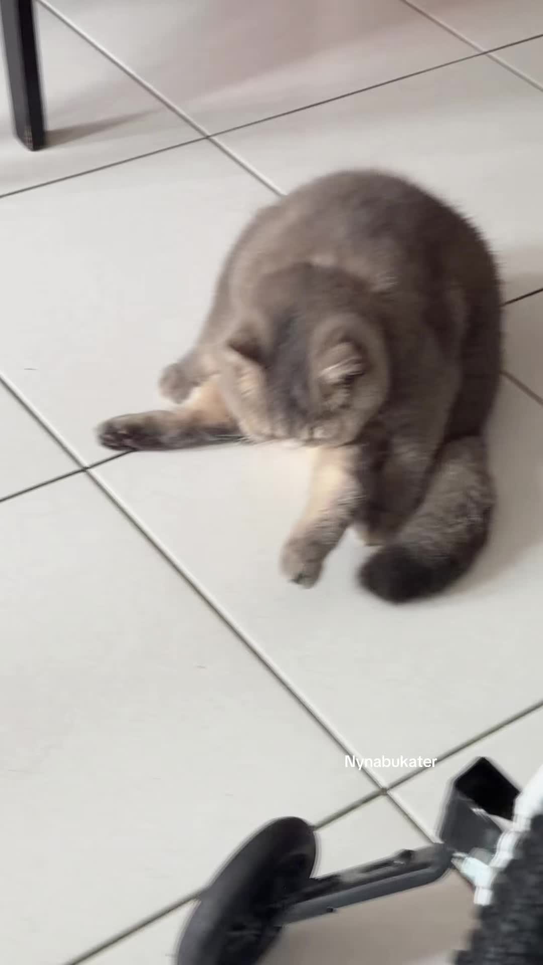 @Nynabukater