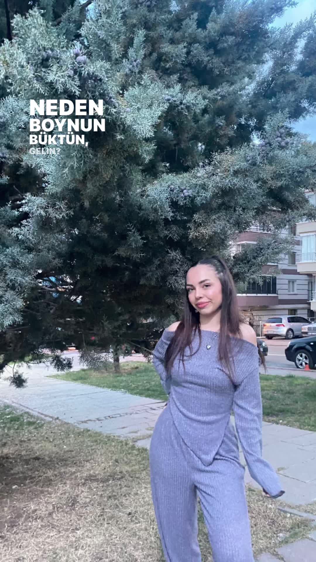 @🐯