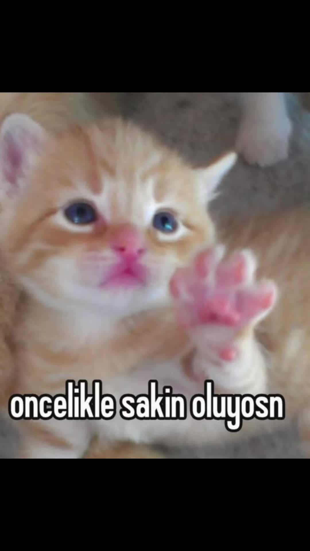 @poser_baskani4