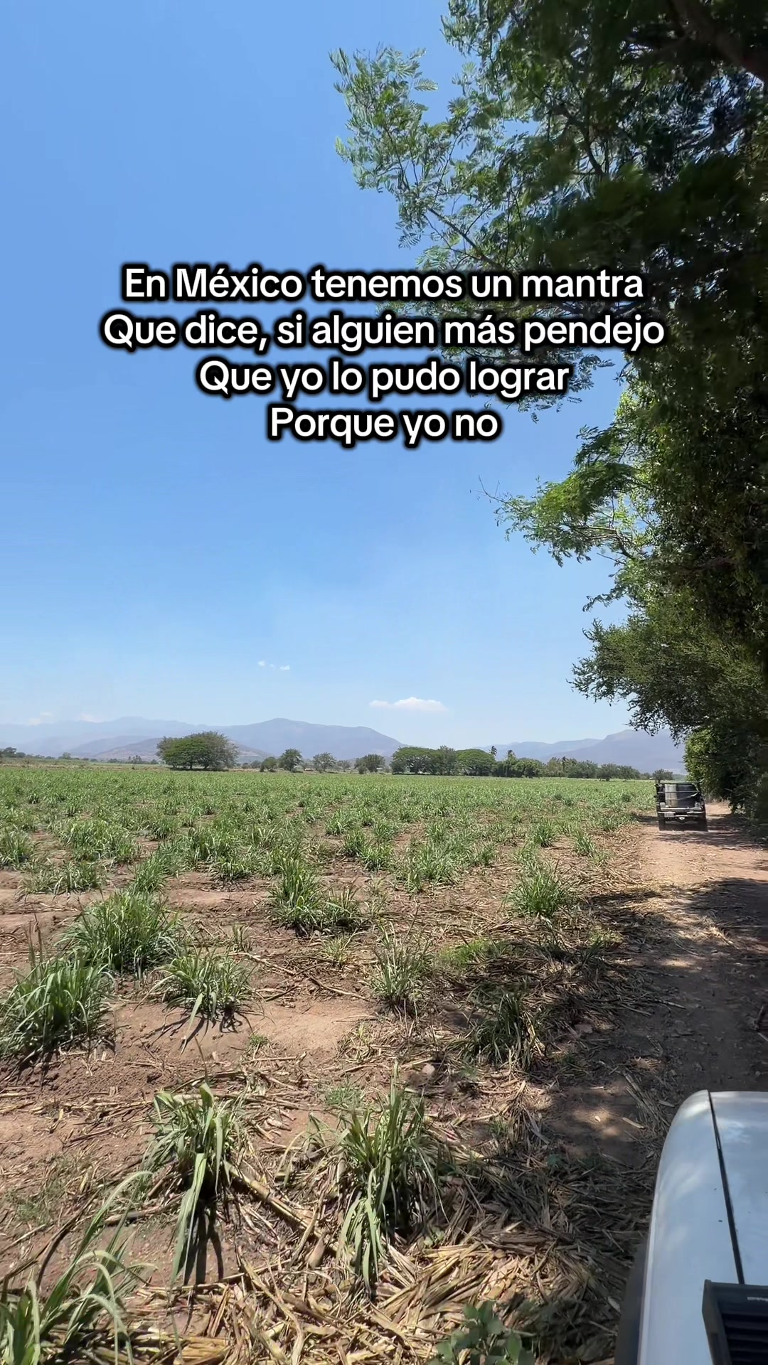 @Gerardo Brambila