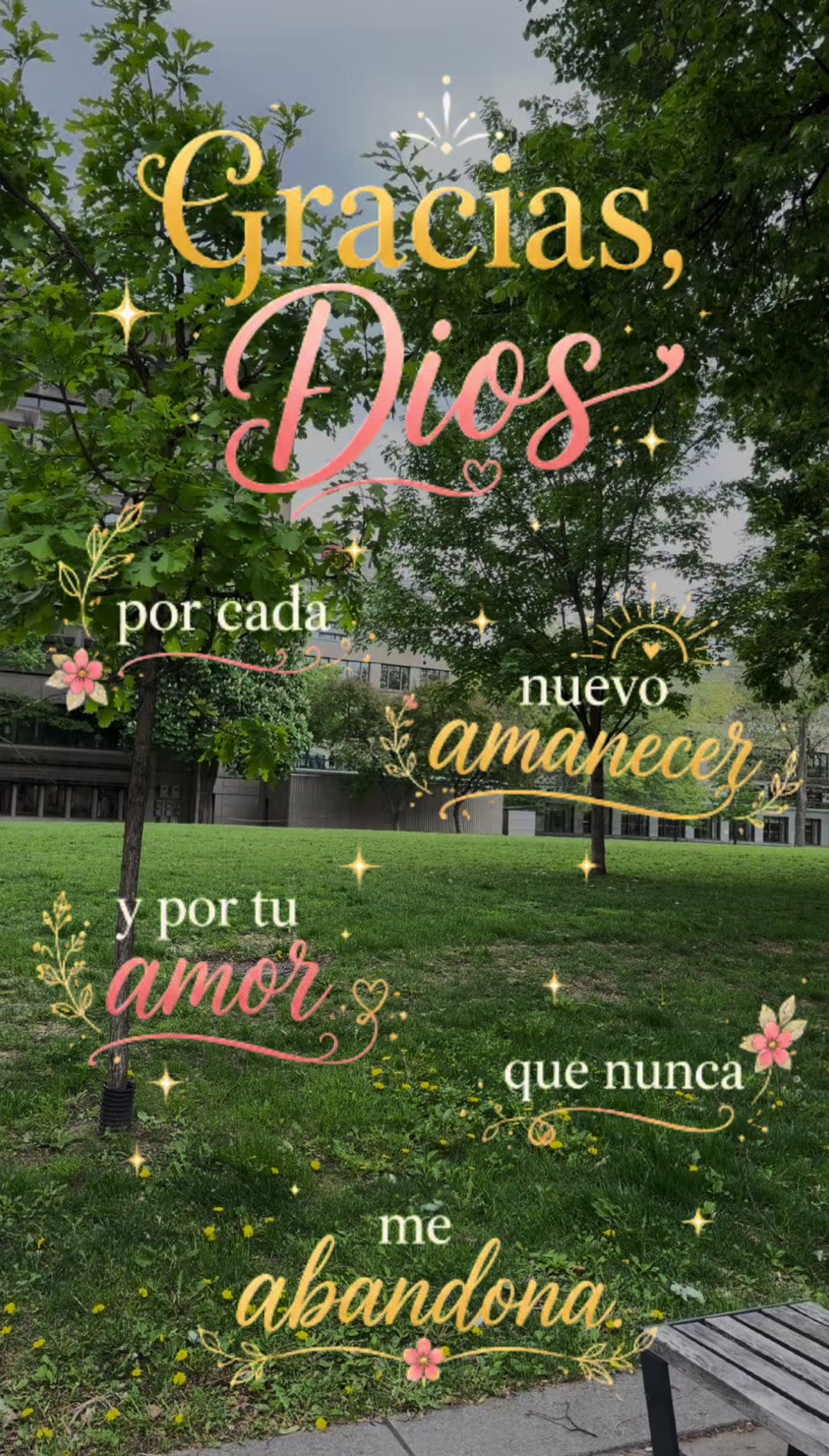 @Julieta Tamayo