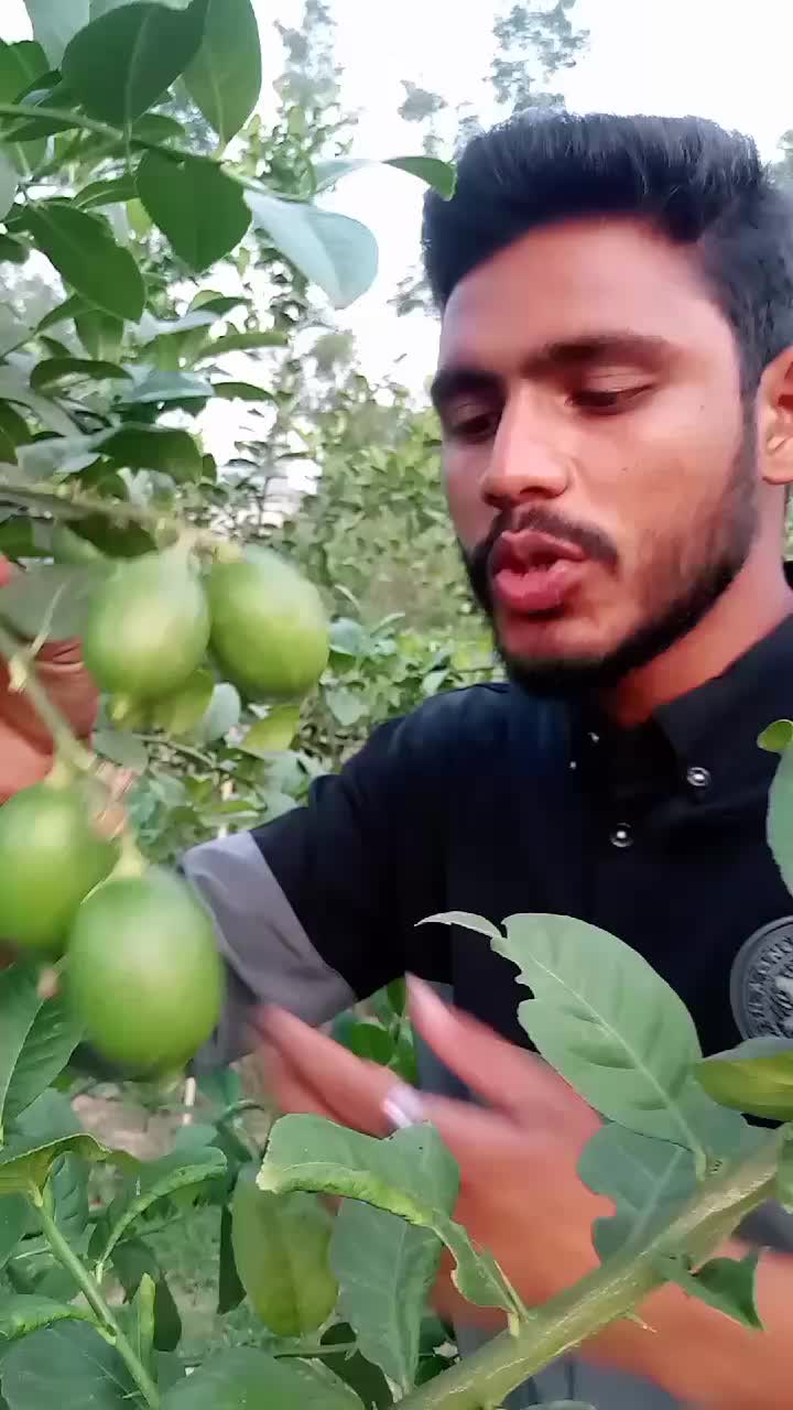 @নিশাত আহমেদ